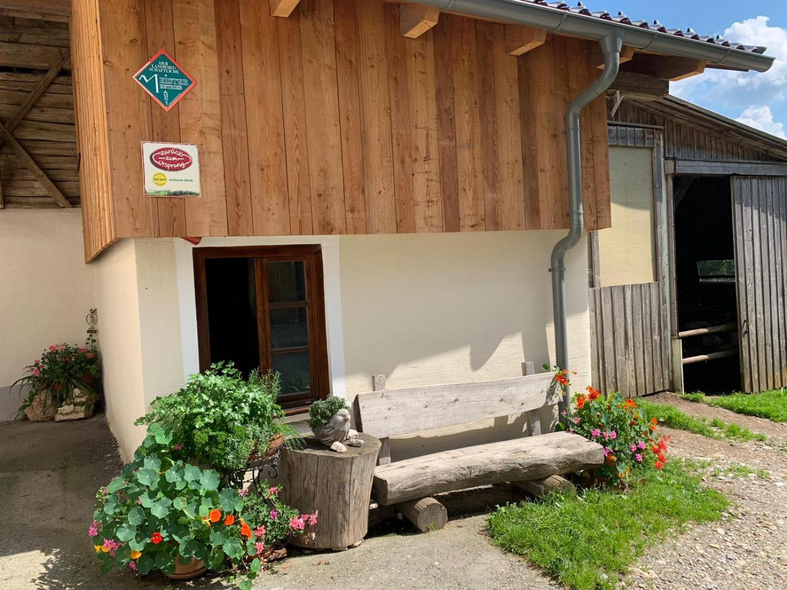 Biohof Goelly Villa Neumarkt in Steiermark Bagian luar foto