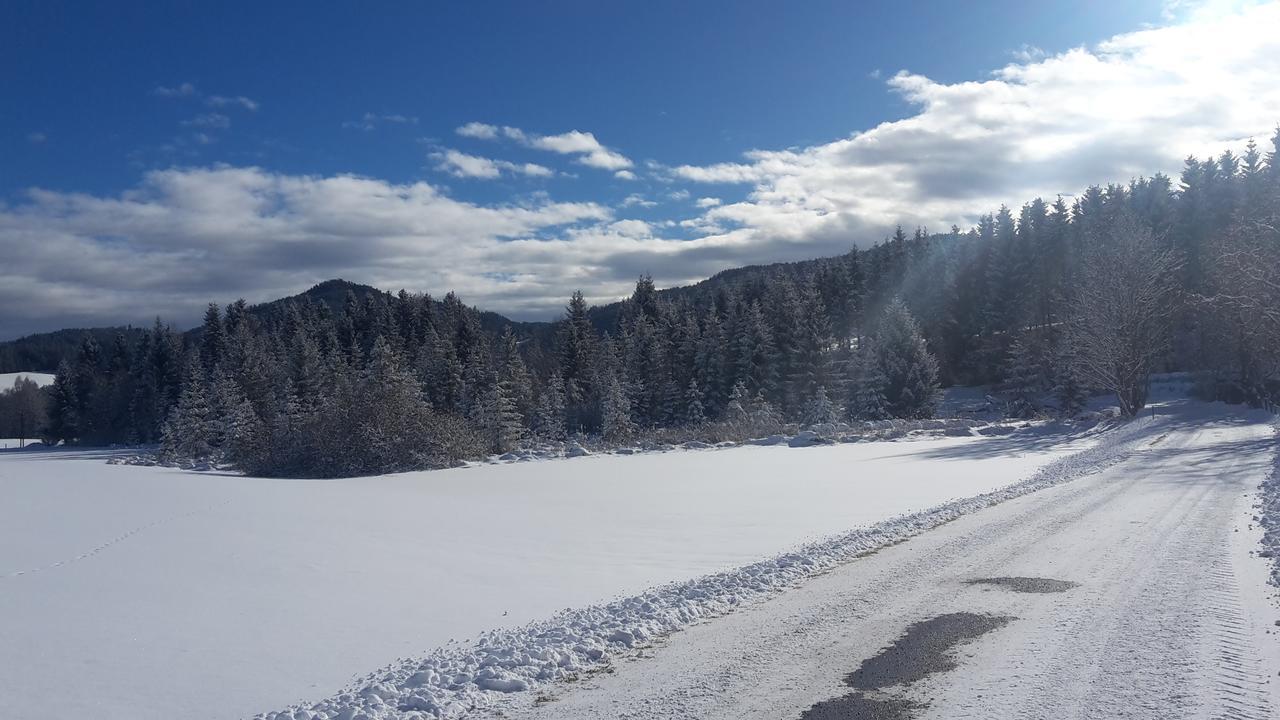 Biohof Goelly Villa Neumarkt in Steiermark Bagian luar foto